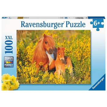 Puzzle XXL 100 Kucyki